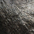 ORGANIC NORI, sheets, raw